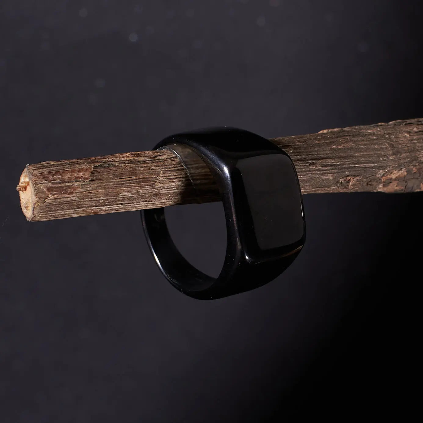 Chunky Signet Black Ring | Salty