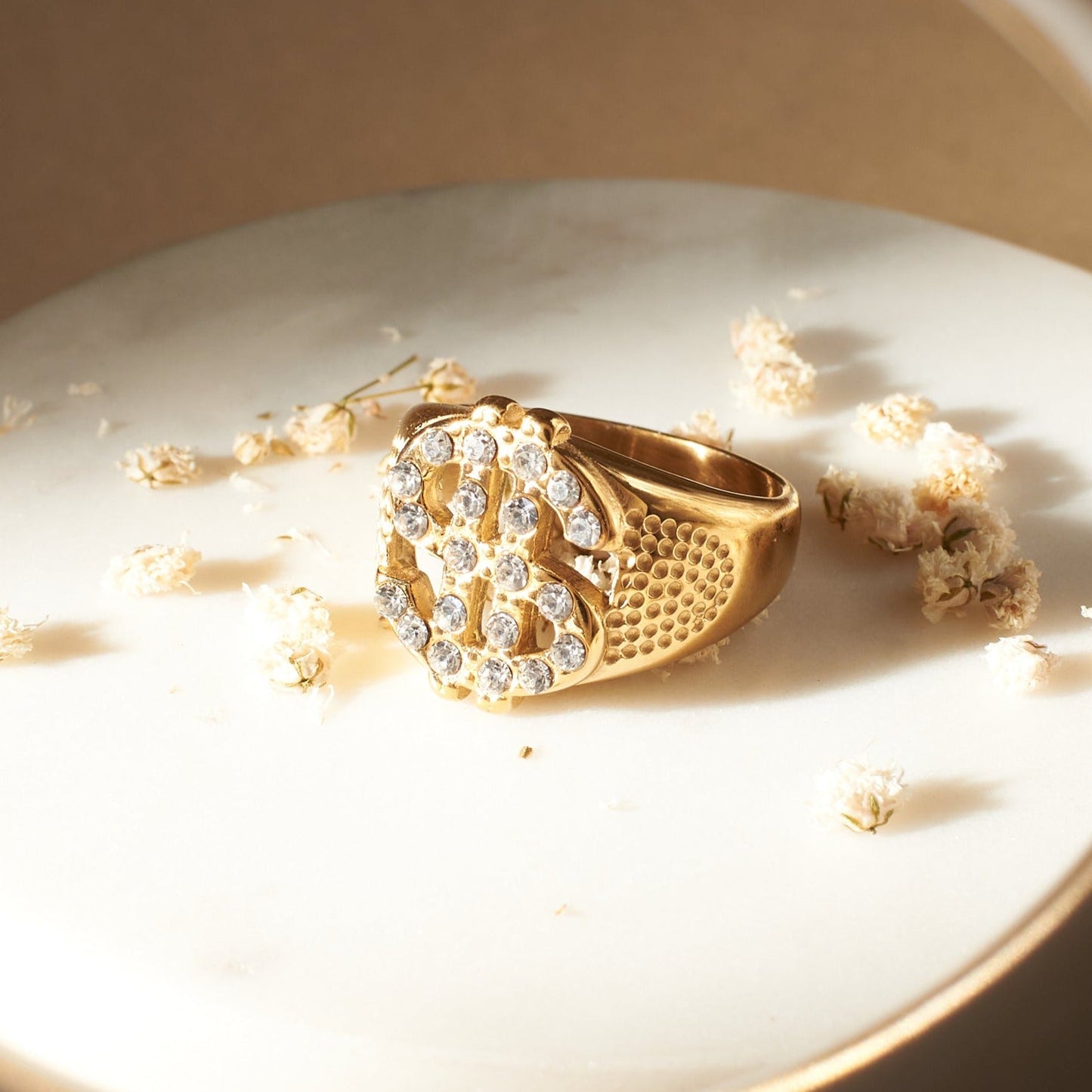 Dollar Sparkle 's Men's Ring | Salty