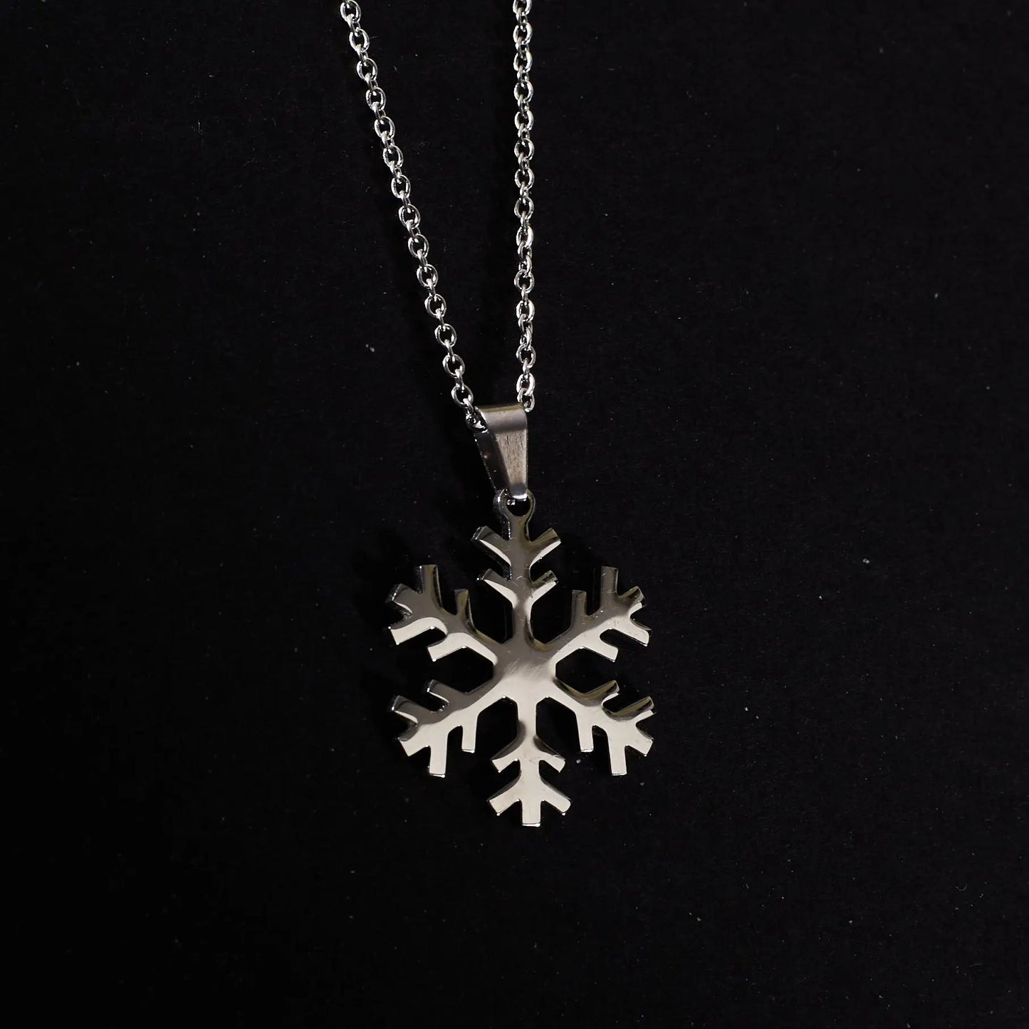 Frosty Silver Chain | Salty