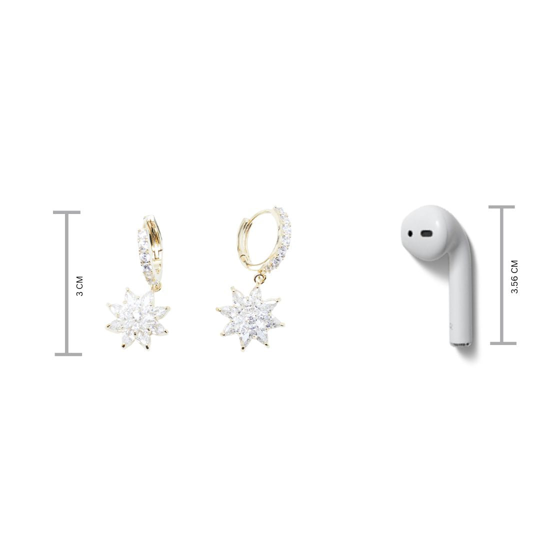 Merveilleux Star Earrings Salty
