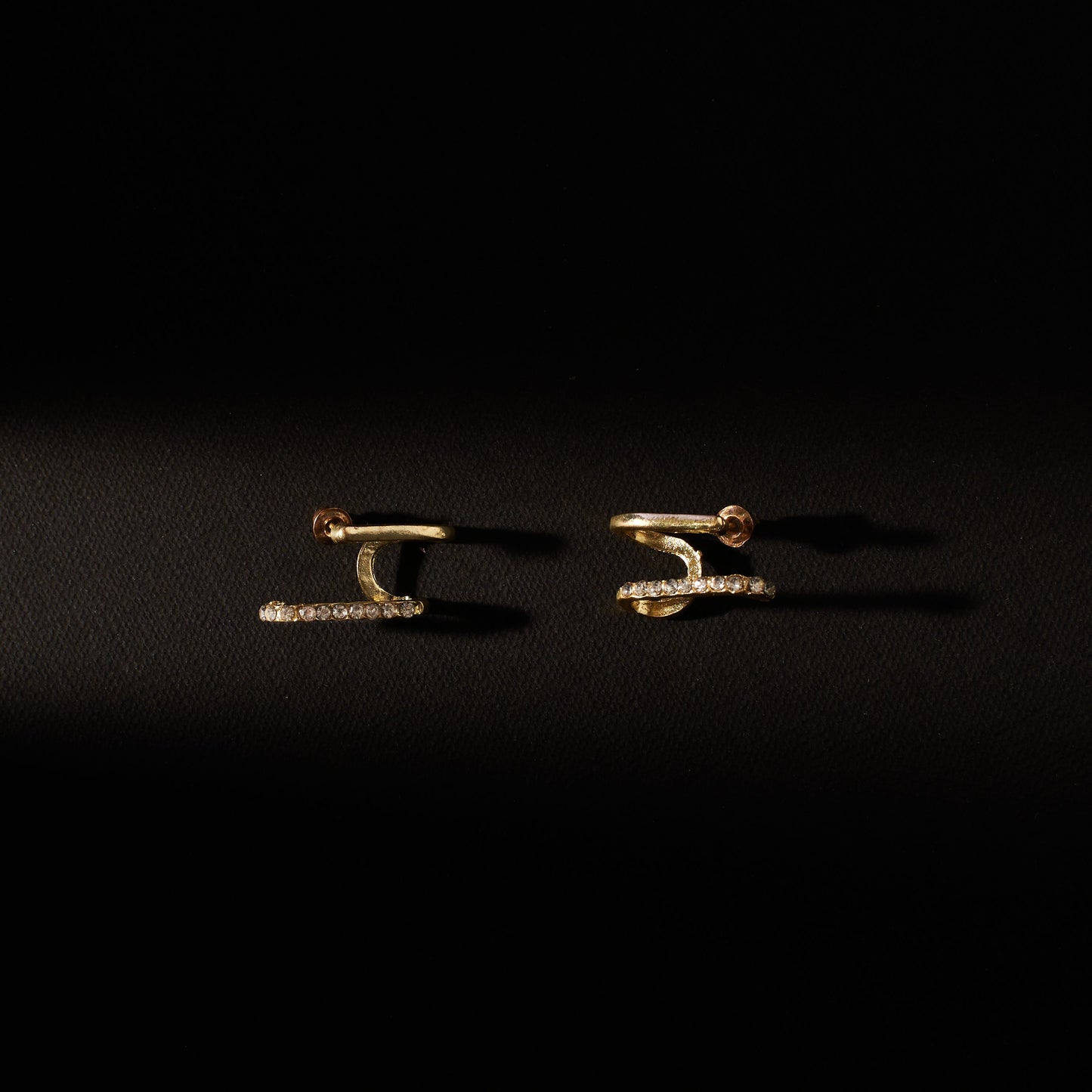 Fashionista Golden Earrings Salty