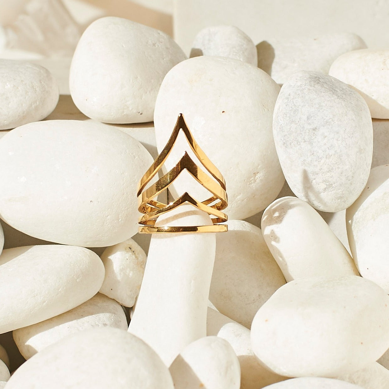 Golden Vows Rings Salty