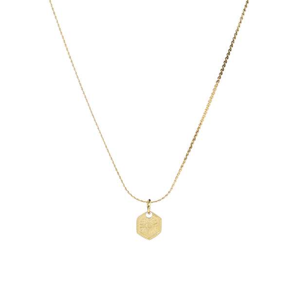 Ray Penta Gold Necklace