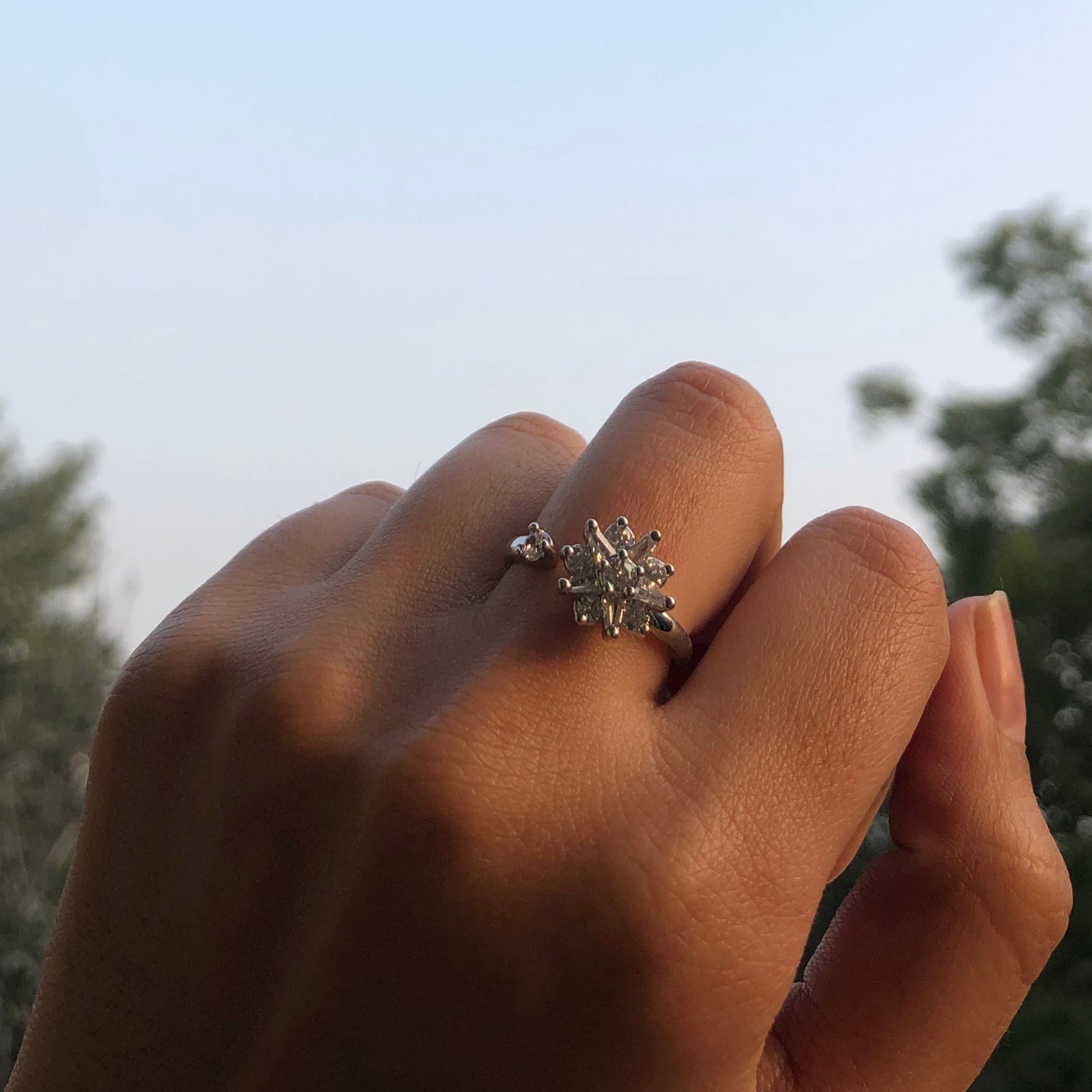 Pentas Spinner Ring - Silver