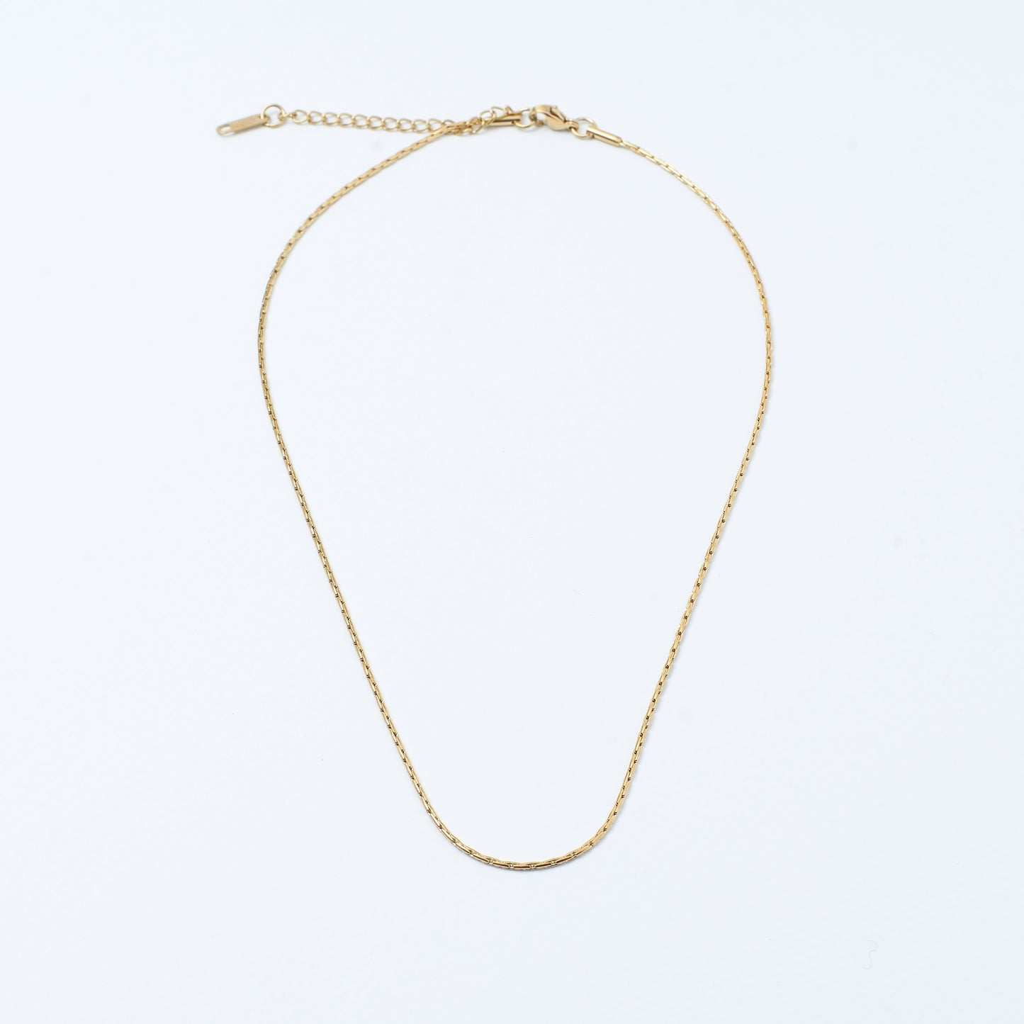 Golden Bismark chain Salty