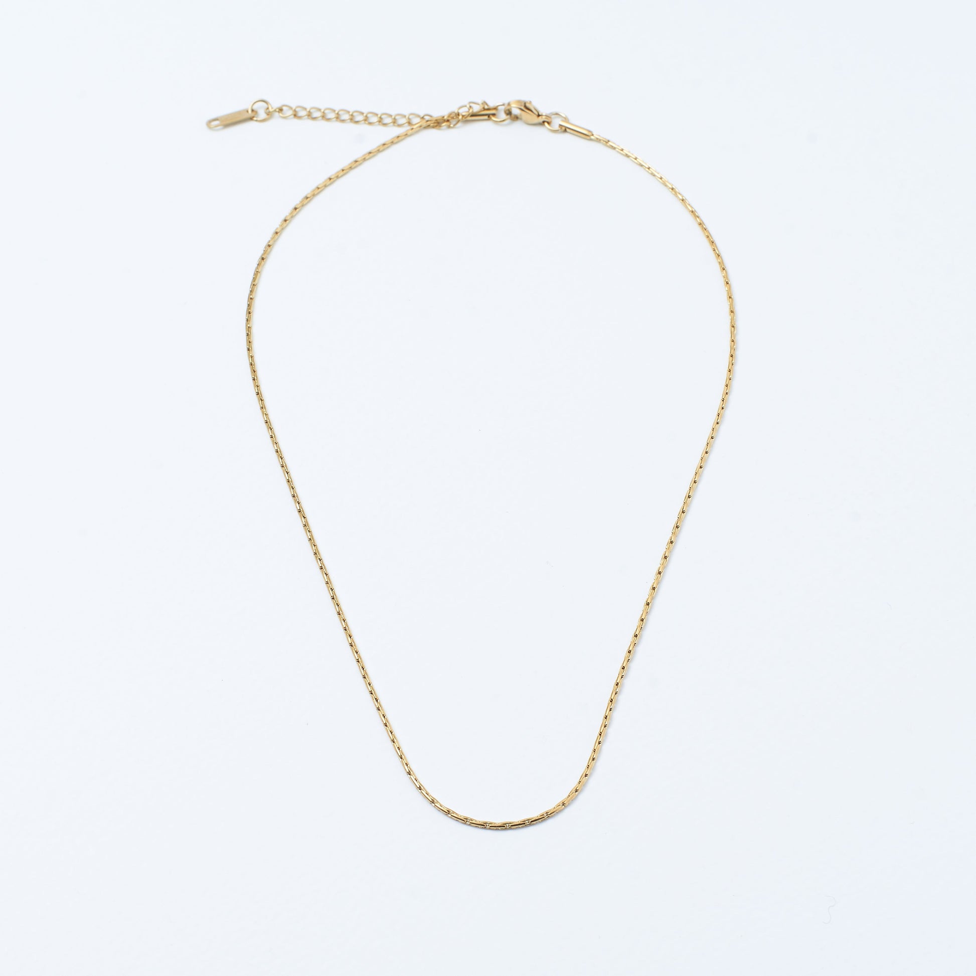 Golden Bismark chain Salty