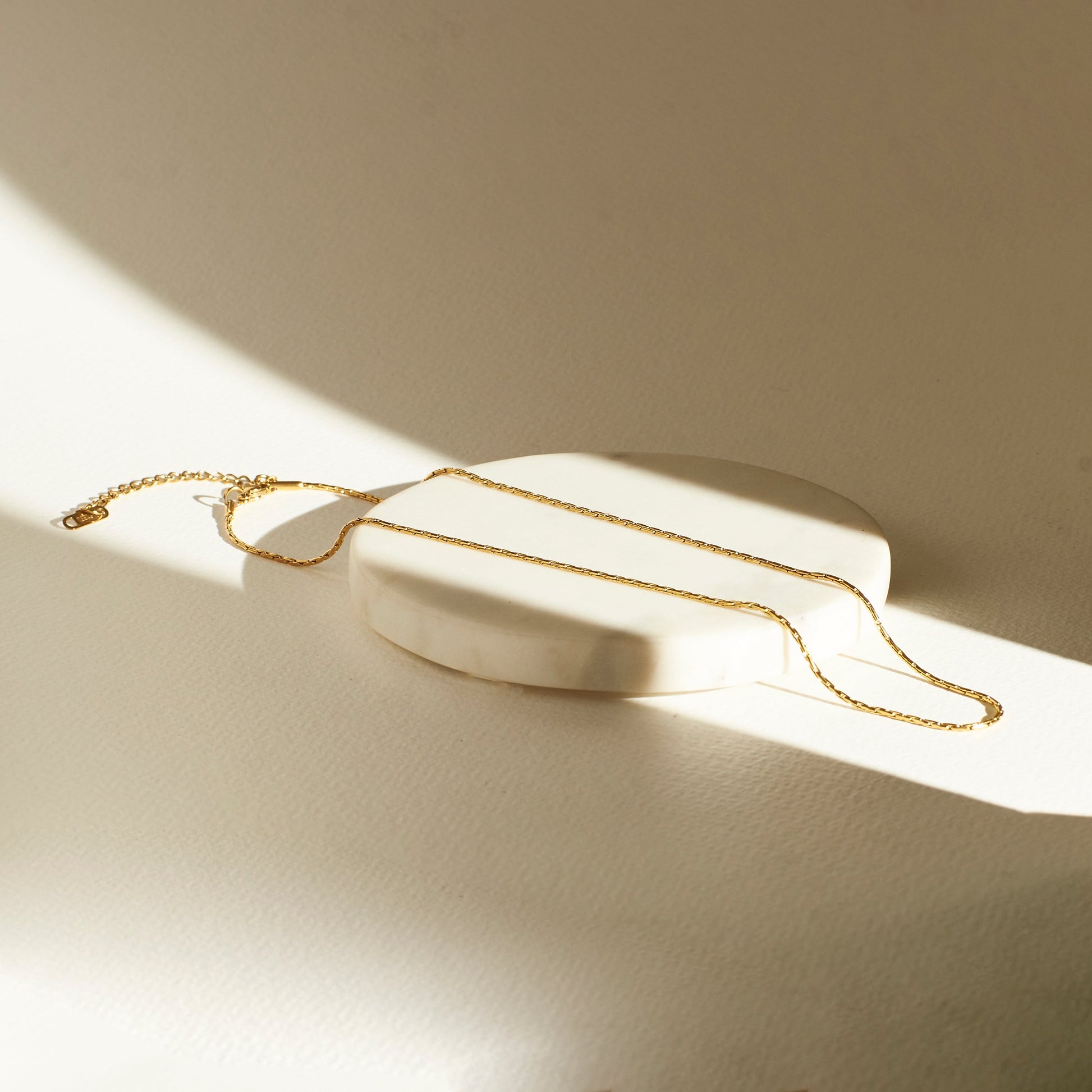 Golden Bismark chain Salty