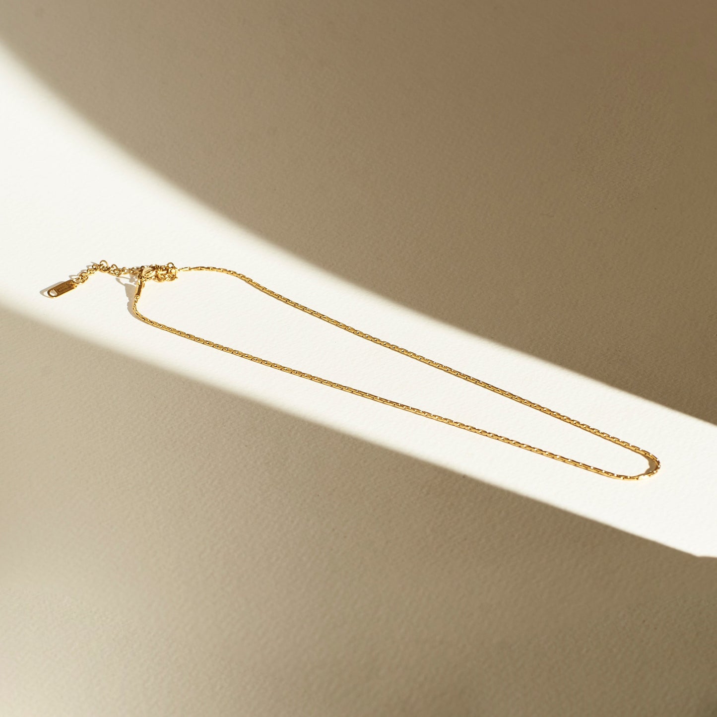 Golden Bismark chain Salty