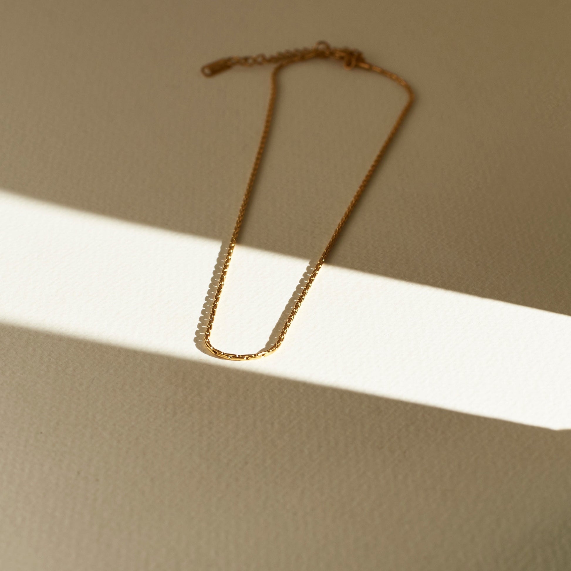Golden Bismark chain Salty