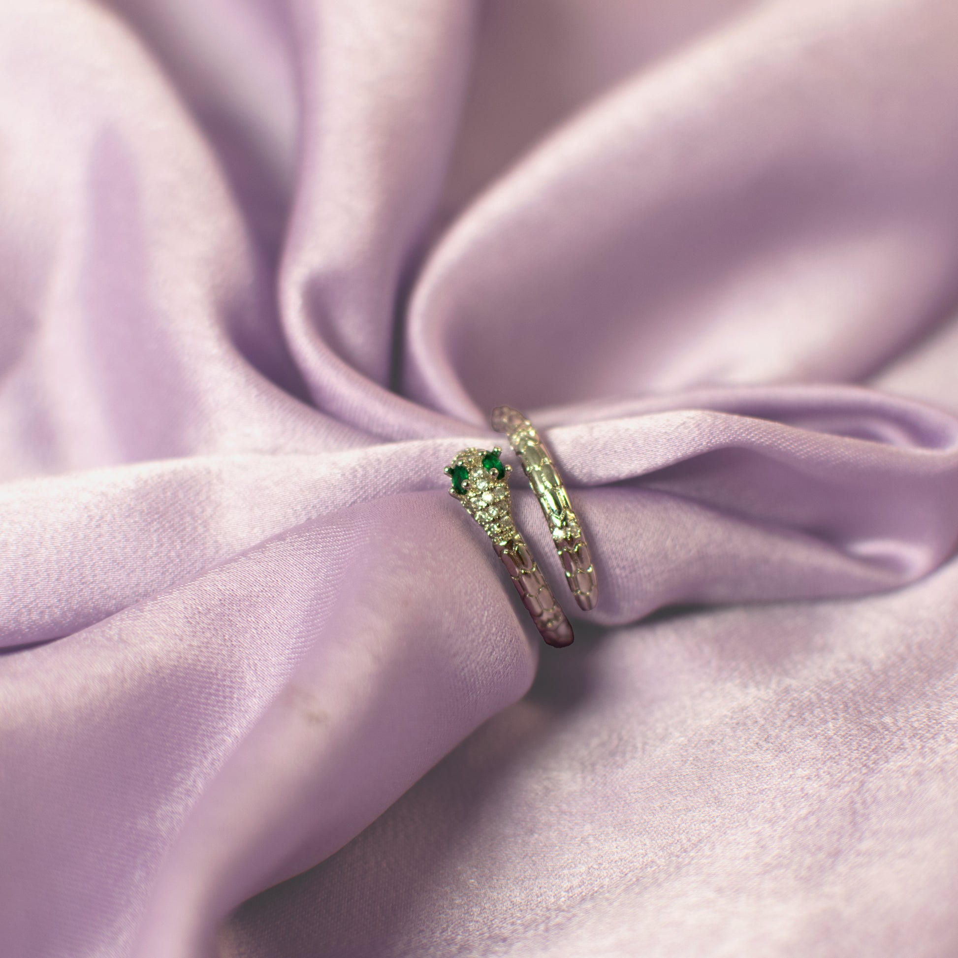 Silver Serpent's Ring Salty